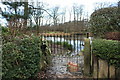 Pond at Hackensall Hall