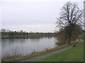 Brookvale Lake or Boating Pool.