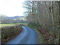 Lon gul ger Pumsaint / Narrow lane near Pumsaint