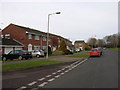 Gloucester, Abbeydale: Bittern Avenue