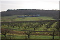 TR1057 : Farm near Petty France by N Chadwick