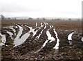 Hazelbury Bryan: soggy tyre marks