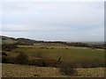 Covered Reservoir from Crane Down