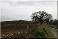 View towards Hoober Stand from Linthwaite Lane