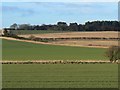 Fields north of Spalefield