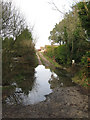 Flooded Footpaths