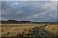 Muddy track between Darnconner & Shiel