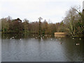 Decoy Pond, Hampden Park