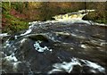 Holy Linn Waterfall, Downstream