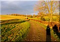 Former Leominster and Stourport Canal near to Newnham Bridge