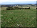 Footpath towards Lyme Park