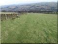 Footpath towards Brownough