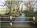 Swollen stream, south of Iddesleigh