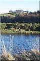 Bridgeton Farm from the River Spey