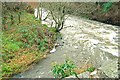 The Ballynahich River near Crossgar