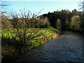 River Lagan at Newforge Lane