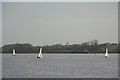 SK0623 : Sailing on Blithfield Reservoir by Alan Murray-Rust