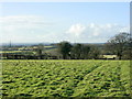 2009 : Pasture off Durlett Road