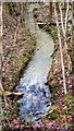 Fast flowing stream in Tugley Wood