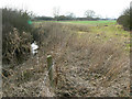 Not the Thames near Castle Eaton, Wiltshire