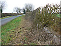 Lane, verge and ditch, near Marston Meysey