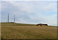 TQ4505 : Beddingham Masts and America Farm by Kevin Gordon