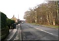 Parkside Road - viewed from Stonegate Road