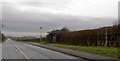 Bus stop on Buttington Hill