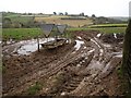 Feeder near Looe Down Farm