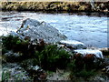 NC9021 : River Helmsdale and frozen lichen by sylvia duckworth