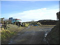 Winter Silage