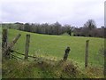 Aghnamoyle Townland