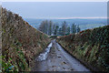 Lane southeast from Dolgwm-uchaf