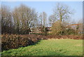 A new school rises, through the trees, Tonbridge Grammar School