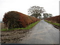 Minor road running past the lands at Morridgehall