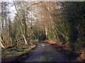 Lane near Cowden, Kent