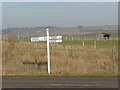TQ9050 : Signpost on Lenham Heath Road by Stephen Craven