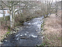 NT4434 : The Caddon Water heading for its confluence with the River Tweed by James Denham