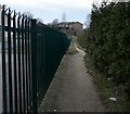 Footpath behind Alder School