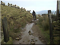 Bridleway across Pendle Side (2)