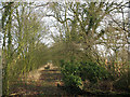 Footpath at Pepper Alley