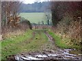 Bridleway to Cockroad Farm