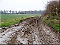 Bridleway to Deans Leaze Farm