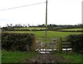 View towards St James Little Dalby