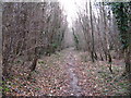 Footpath through Goblestubb