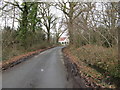 Lane through Stewards Copse