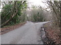 Fork in road