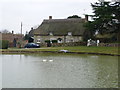 Ashmore: heron in flight over pond