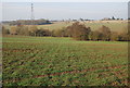 Footpath across a field, South of Mayton Farm