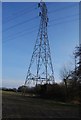 Pylon in a field, South of Mayton Farm